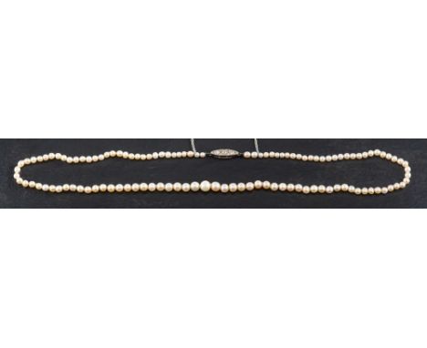 A graduated, single row, pearl necklace to an old-cut diamond clasp,: the pearls of creamy body colour with pink overtones, d