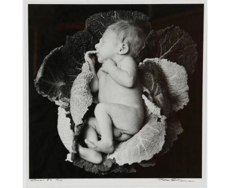   BLANCA, PAUL (GEB. 1958), ges. r.o.,  'Benno', c-print 6/10 29 x 29 cm.          