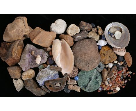 Intriguing collection of minerals and shells, to include amethyst , coral, lapis lazuli, marble, bone fragments, etc, (qty)