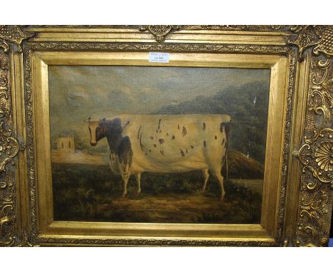 Portrait of a Shorthorn Heifer in a hilly landscape with background gothic building 39cm x 29cm