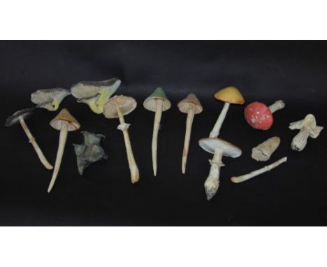 A box containing a collection of ceramic mushrooms and fungi 