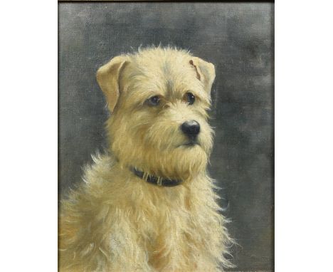 DECORATIVE SCHOOL (20th century)Portrait of a TerrierOil on artist's board21 x 26.5 cm, framed   CONDITION REPORTS:  Generall