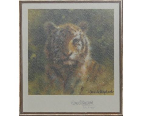 David Shepherd, "Tiger", small limited edition print, 310/1000.