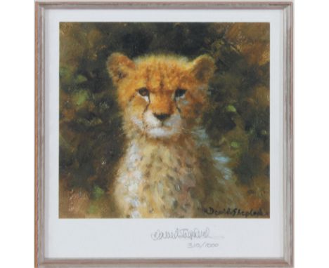 David Shepherd, "Cheetah" limited edition print, 779/1000, together with David Shepherd, "Cheetah Cub" limited edition print,
