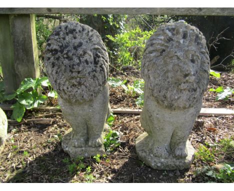A pair of weathered cast composition stone pier caps or garden ornaments in the form of lions, 50cm high