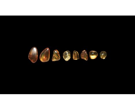 Oligocene Period, 45 million years BP. A group of eight pieces of Baltic amber containing flies and other inclusions. 2.81 gr