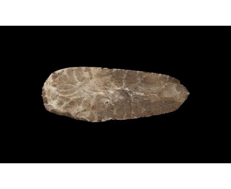 10th-15th century AD. A large chert paddle-shaped hoe, plano-convex in section, polished back from the working edge to the lo