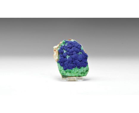 In this specimen a layer of azurite rosettes overlays a layer of botryoidal malachite, all on a rock matrix, from Arizona, in
