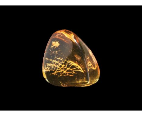 Oligocene Period, 45 million years BP. A piece of clear Baltic amber containing an insect. 3.46 grams, 24mm (1"). From the co