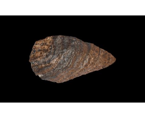 Palaeolithic, 1.9 million - 70,000 years BP. A large bifacial quartzite piriform hand-axe showing wind-erosion to the surface