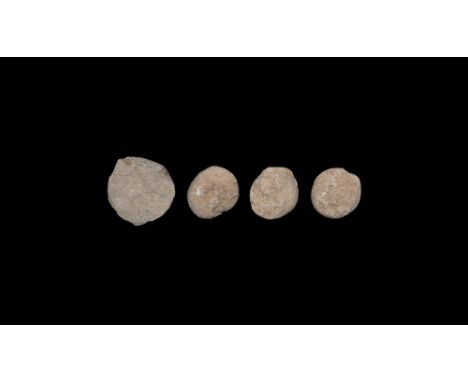 Oligocene Period, 33-30 million years BP. A group of four whole eggs from the Stylemus nebrascaensis, turtle, from the White 
