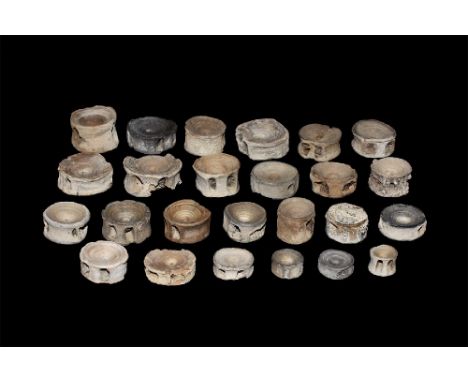 Middle Miocene Period, 15.9-11.6 million years BP. A group of twenty five fish vertebra in an old white card collector's tray
