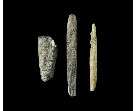 Neolithic, 4th-3rd millennium BC. A mixed group of bone tools comprising: a chisel with bevelled edge; a harpoon tip with fou