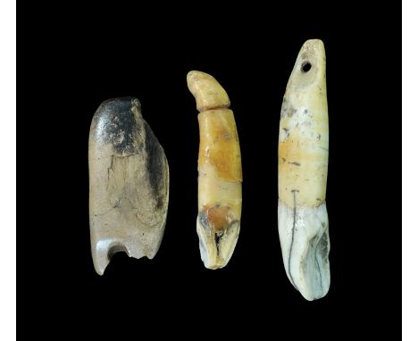 Neolithic, 4th-3rd millennium BC. A mixed group of pendants comprising: a flat-section bone plaque; an incisor tooth pierced 