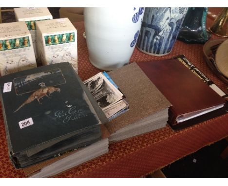 A large collection of various postcards to include a Stanley Gibbons postcard album containing various Topographical postcard