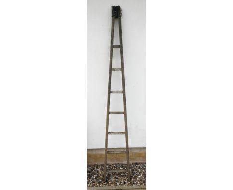 A tapering fruit pickers ladder, 205cm tall