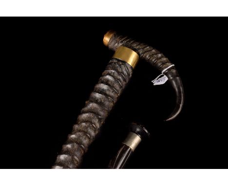 A horn handled and shaft walking stick, with applied brass terminals one with gem set stone, together with an ebony example (