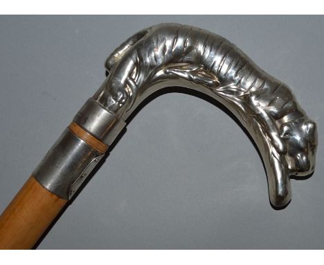 A BAMBOO TYPE WOODEN STICK WITH STERLING SILVER BAND, the handle as a tiger. 32ins long.