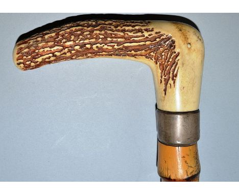 A VERY HEAVY CANE WALKING STICK WITH HORN HANDLE and silver band. 34ins long.