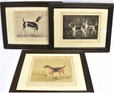 THREE DOG RELATED PRINTS:  'Mr. Obaldestons Furrier' (1820)'; 'Lord Coventry's Rambler (1873) and Marksman(1874)'; 'The Hertf