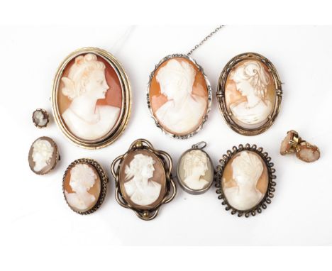 A collection of vintage oval shell cameos, each with a female profile. Comprising; eight brooches, a pair of stud earrings an