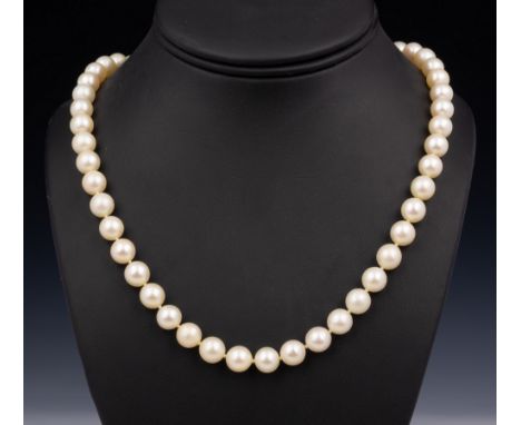 A single strand cultured pearl necklace with black opal clasp, the string of evenly sized 8mm. pearls with a textured 14ct go