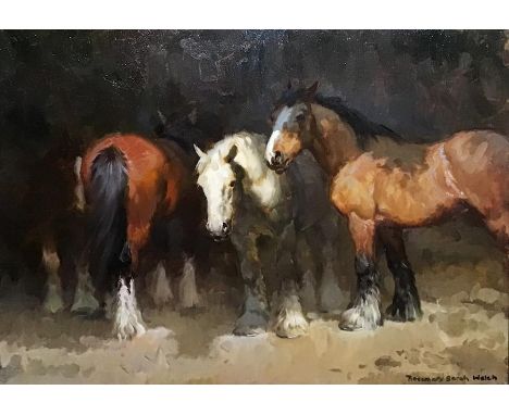 Rosemary Sarah Welch (British, b.1946), 'Light and Shade', oil on canvas, signed lower right, further titled to verso, H.44cm