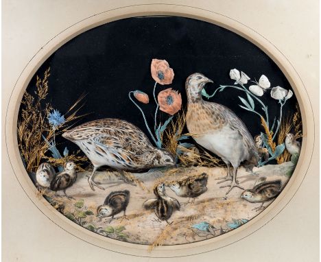 An unusual French relief work diorama, c.1915, depicting a pair of quail and their chicks in a landscape, including hand colo