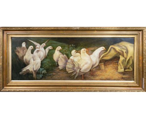 Andrew Beer (British, 1862-1954), Study of a group of white doves feeding oil on canvas, signed 'A. Beer' lower right, in con