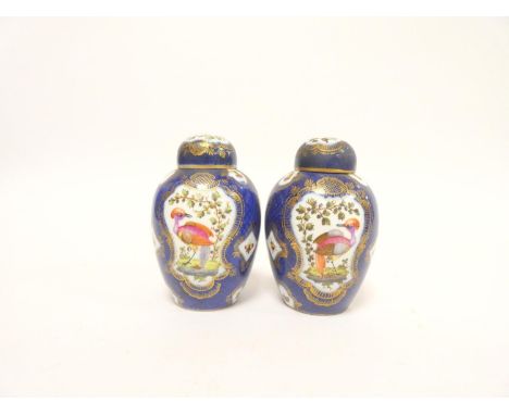 Pair of 18th century Worcester porcelain tea canisters of ovoid form with painted panels of birds on a blue Kakiemon style gr