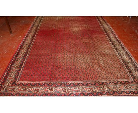 A Sarab carpet 350 x 225cm 