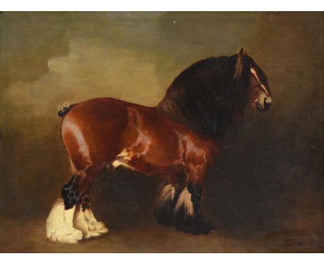 Attributed to Edith Anna Oenone Somerville (1858-1949)  Portrait of a heavy horse standing  Initialled EAS, oil on canvas, 29