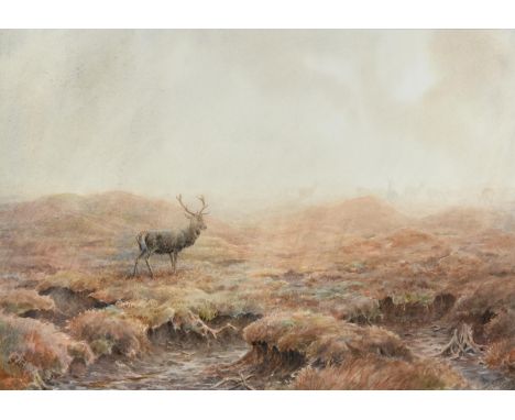 Vincent R Balfour Browne (1880-1963)  Stag in the mist  Initialled and dated 1948, watercolour, 23cm by 33cm  See illustratio