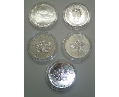 Three 1oz Canadian Maple coins for 1989, 2011 and 2013; Australian silver $25 coin and an Australian silver crocodile coin. P