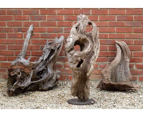 A group of three sculptural weathered tree trunk fragments, the largest 96cm highCondition report: As found