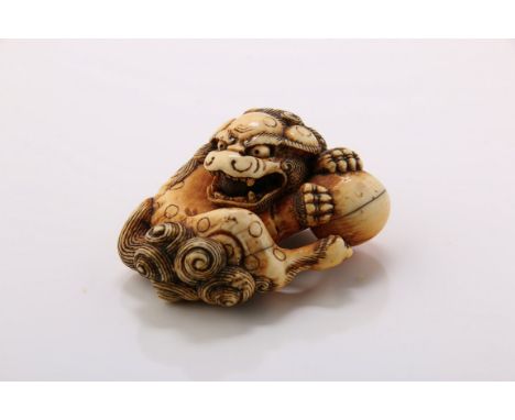 An 18th century Japanese ivory netsuke, carved as a shishi guarding a ball. 4 x 31/2cm