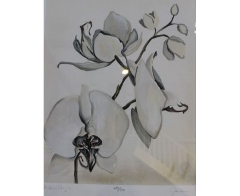 Liz Jardine "Orchid Song II",&nbsp; limited edition serigraph, 289 of 350, signed and inscribed in pencil, 45cm x 37cm, frame