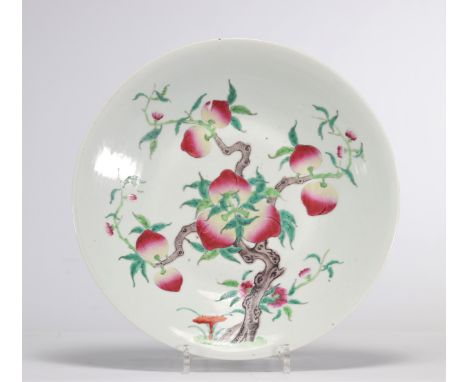 Famille Rose porcelain dish decorated with nine peaches - Weight: 1.60 kg - Shipping available - Region: Chine - Sizes: D 340