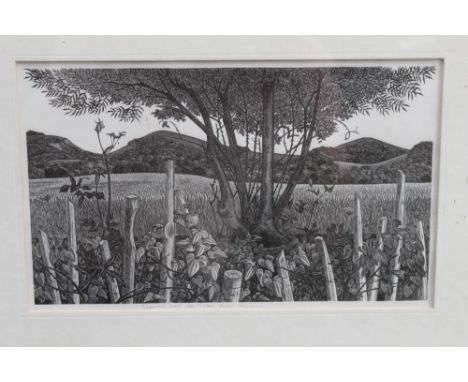 Monica Poole (1921 - 2003), three signed black and white lincouts - Dry September, 21cm x 16cm, Pilgrims Way, 16cm x 26.5cm, 