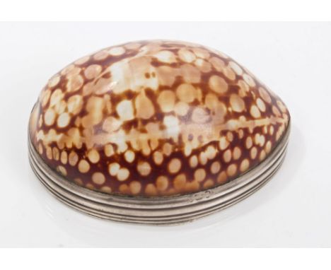 George III silver mounted cowrie shell snuff box with hinged cover (London 1812), maker - G. R., 6cm overall width   CONDITIO