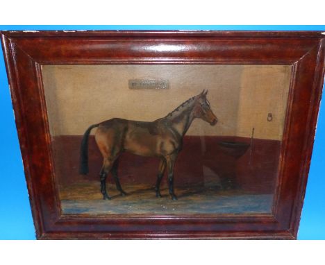 G A Cutley:  "Be Truthful", portrait of a horse in a stable, oil on board, signed, 13½" x 19½", framed and glazed 520