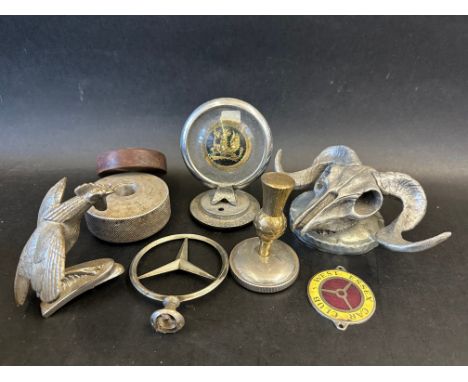 A selection of car mascots including Mercedes-Benz, Vauxhall, a Scottish thistle, a cockeral, and ram's skull etc. plus a Wes