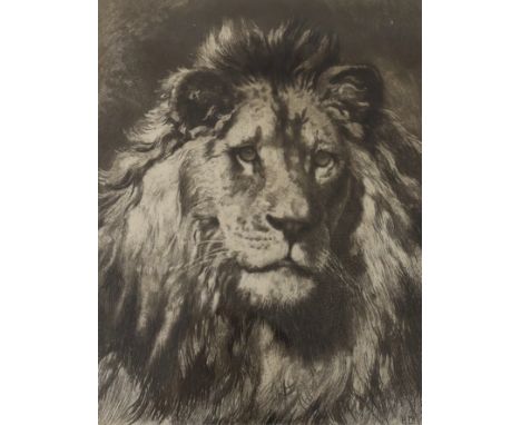 After Herbert Thomas Dicksee (1862-1942) etching, 'His Royal Highness', publ. London Virtue and Co, 29 x 22cm