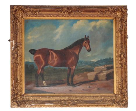 19TH CENTURY ENGLISH SCHOOL, PORTRAIT OF A STANDING BAY HUNTER oil painting, canvas 51cm x 61cm, indistinctly signed €˜J. Dun