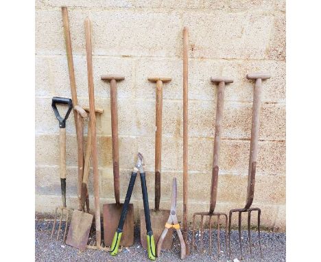 Collection of garden tools