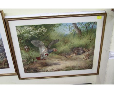 Archibald Thorburn, 'Ptarmigan'; 'Pheasants'; 'Grouse'; and 'Partridges'; a set of four, each signed in pencil and blind stam