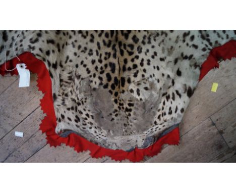 A leopard skin, with 'steam-roller' head, attached claws, and red felt backing, nose to tail 251.5cm.    Condition Report:  S