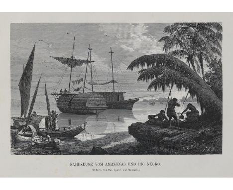 Keller-Leuzinger,F.: Vom Amazonas und Madeira. Skizzen und Beschreibungen aus dem Tagebuch einer Expeditionsreise. Stgt., Krö