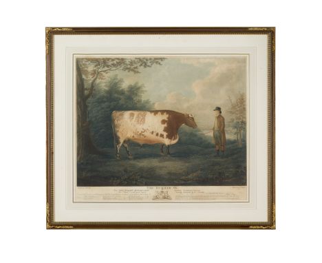 JOHN BOULTBEE AFTER THE DURHAM OX Print after the original engraving by J Whessell(50cm x 60cm (19.75in x 23.5in))Provenance: