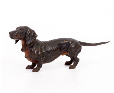AN AUSTRIAN COLD PAINTED BRONZE MODEL OF A DACHSHUND 17cm long x 6.5cm high